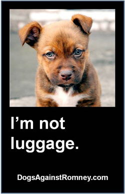 sad puppy dog meme with "I'm not luggage" written underneath