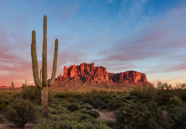Scenic Sonoran Desert landscape with a Saguaro Cactus at sunset in the Superstition Mountains at Lost Dutchman State Park, Arizona, USA.