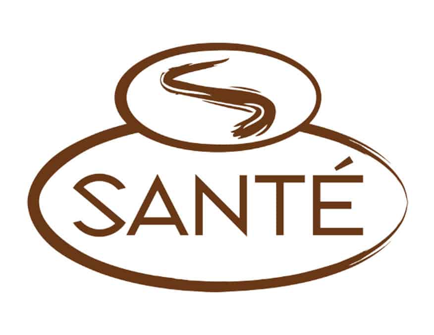 Logo Design | Santé Center | Case Study | Commit Agency